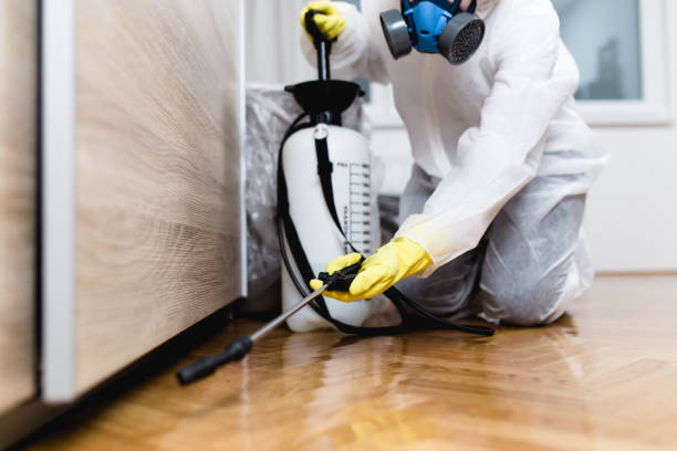 Trusted Basile, LA Pest Control Experts