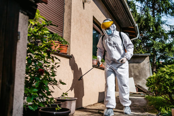 Wasp Removal Services in Basile, LA