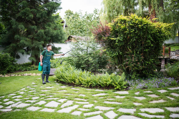 Wasp Removal Services in Basile, LA