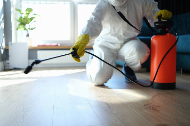 Best Termite Control Services  in Basile, LA