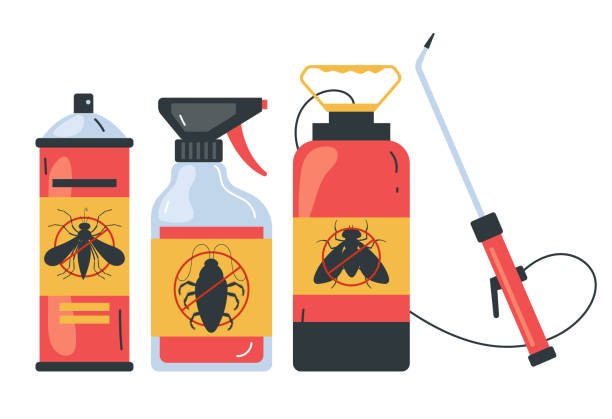 Best Affordable Pest Control Services  in Basile, LA