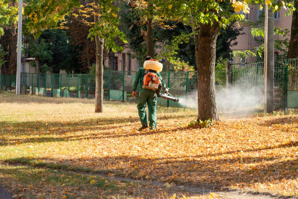 Best Pest Inspection Near Me  in Basile, LA