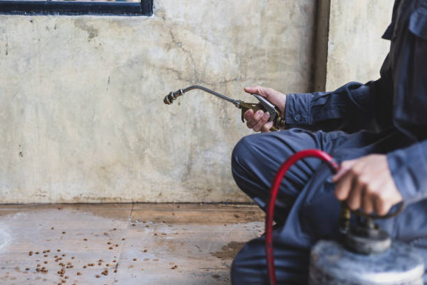 Best Pest Inspection Near Me  in Basile, LA